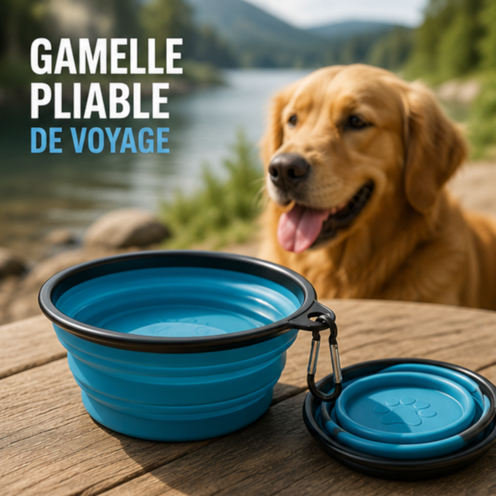 🐶 Gamelle pliable de voyage